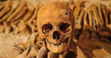 Calavera
