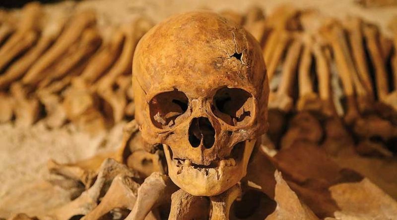 Calavera