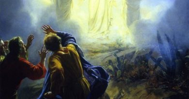 Transfiguracion Boll
