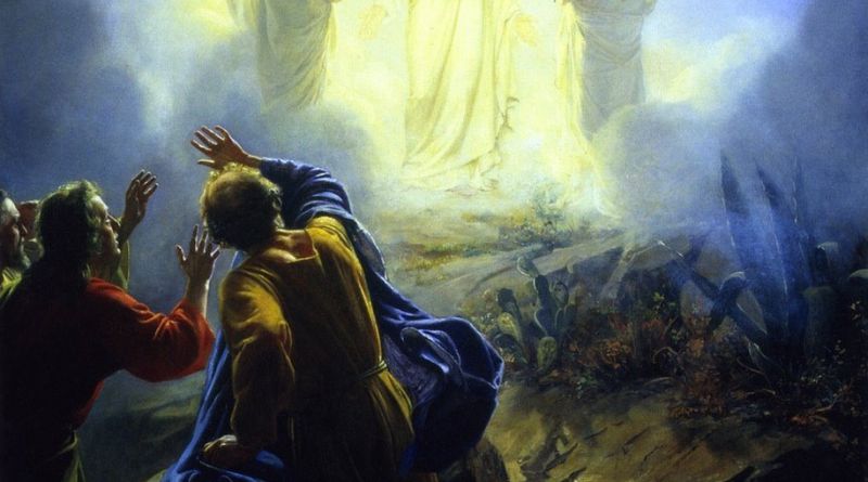 Transfiguracion Boll