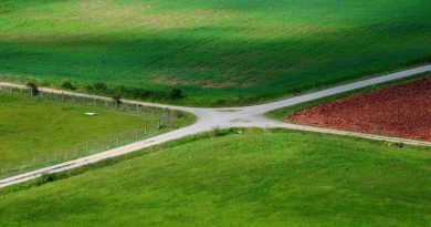 Cruce de Caminos