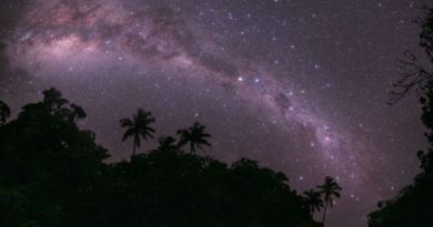 Noche estrellas selva