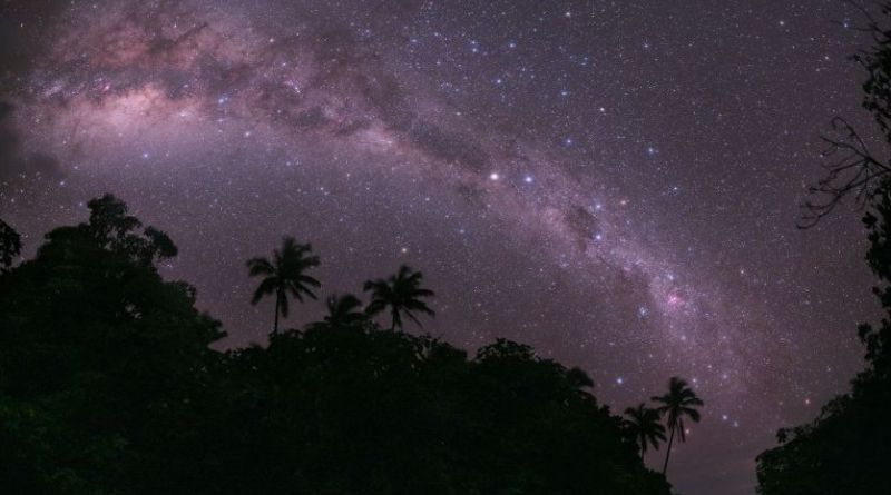 Noche estrellas selva